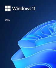 WINDOWS 11 PRO 64-BIT USB picture